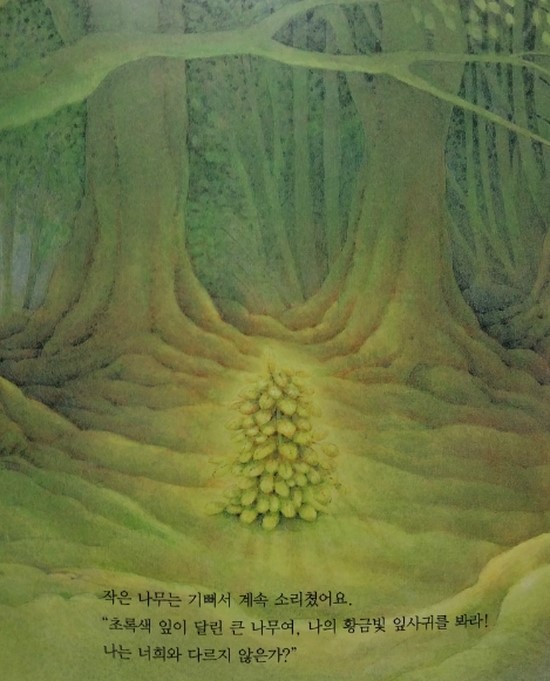 작은나무 이미지