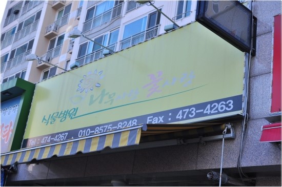 사랑꽃집 이미지