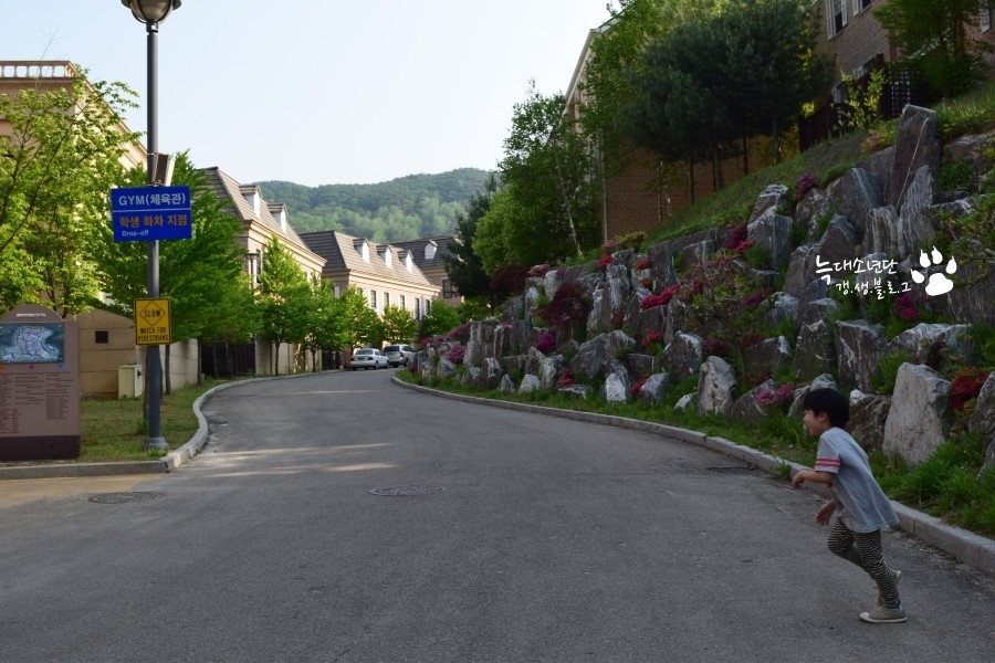 Gyeonggi English Village Yangpyeong Camp