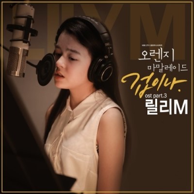 릴리케이 이미지