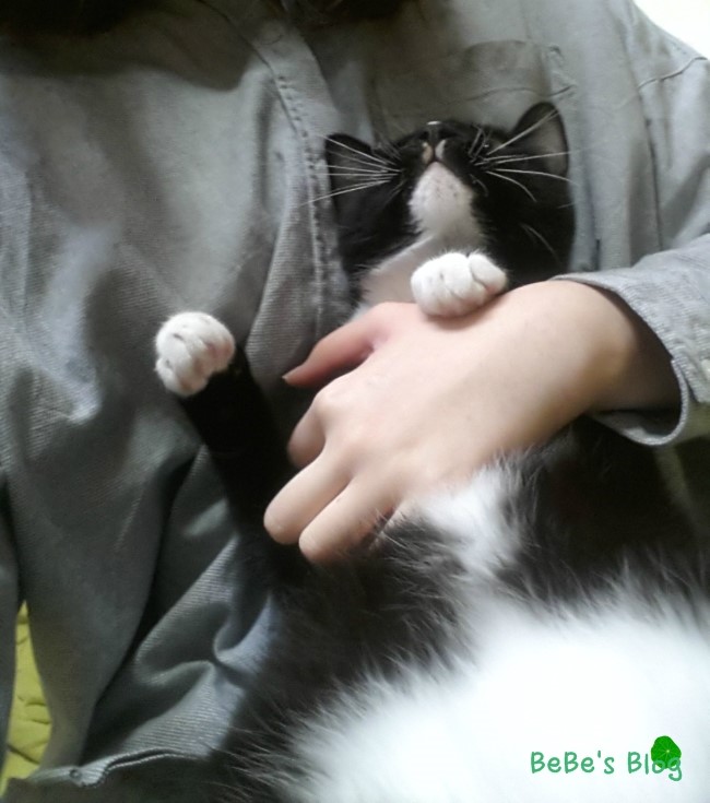 강수입 이미지