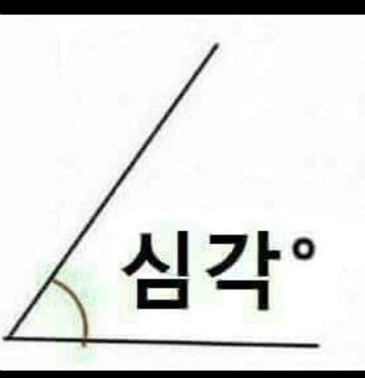 성공렌트카주 이미지