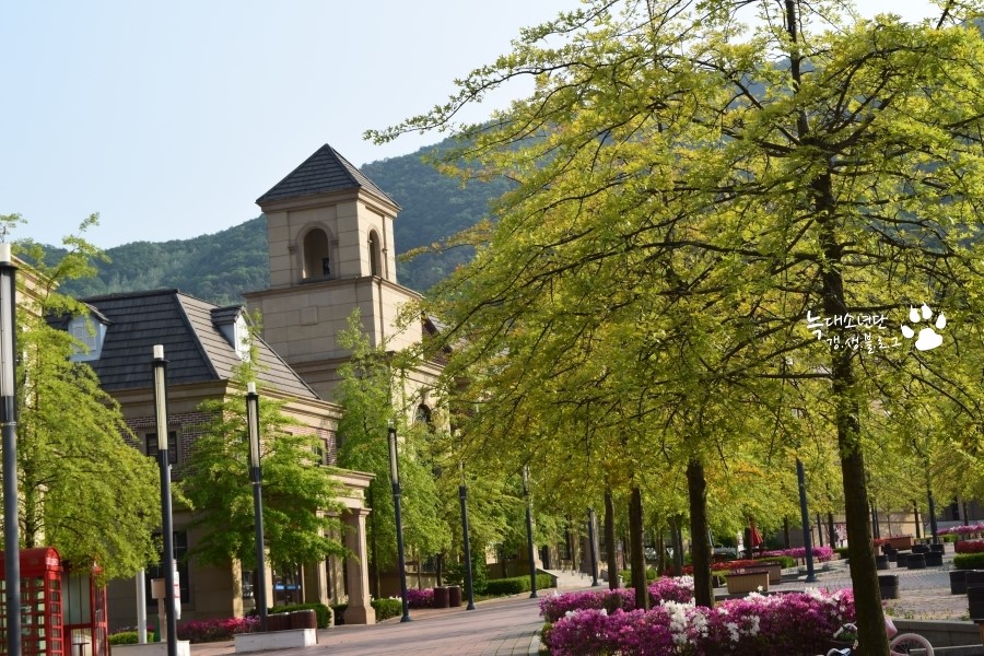 Gyeonggi English Village Yangpyeong Camp