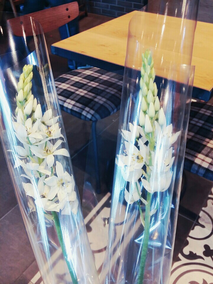 샛별화원 이미지