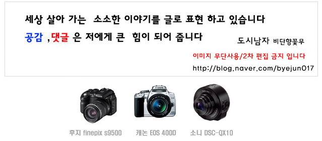 동호주유소 이미지