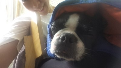 펀더멘탈무브먼트 이미지