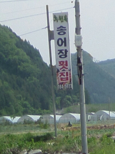 추원복송어장 이미지