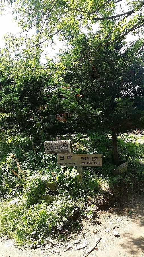 점봉산민박 이미지