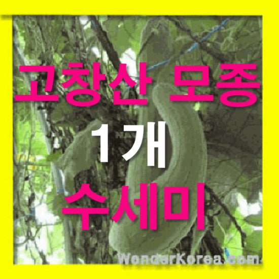 잠이요침구 이미지