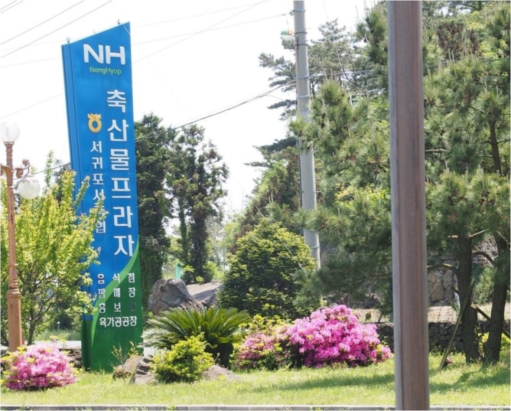 서광축산 이미지
