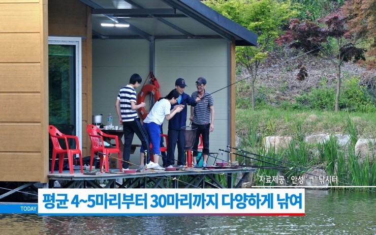 개나리낚시터 이미지