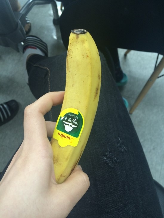 뚠뚜니네 이미지