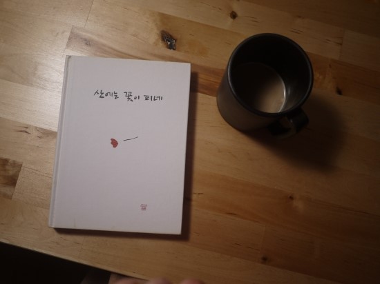 산에는꽃이피네 이미지