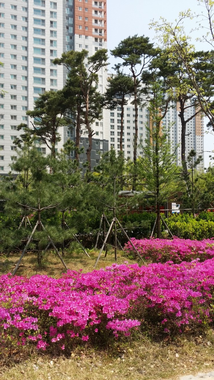 이편한밥상 이미지