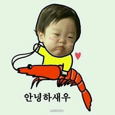 차가꿈 이미지