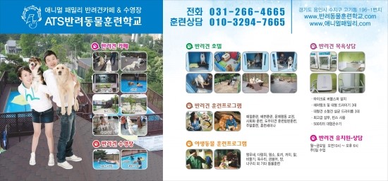 독수리 에이전시 이미지
