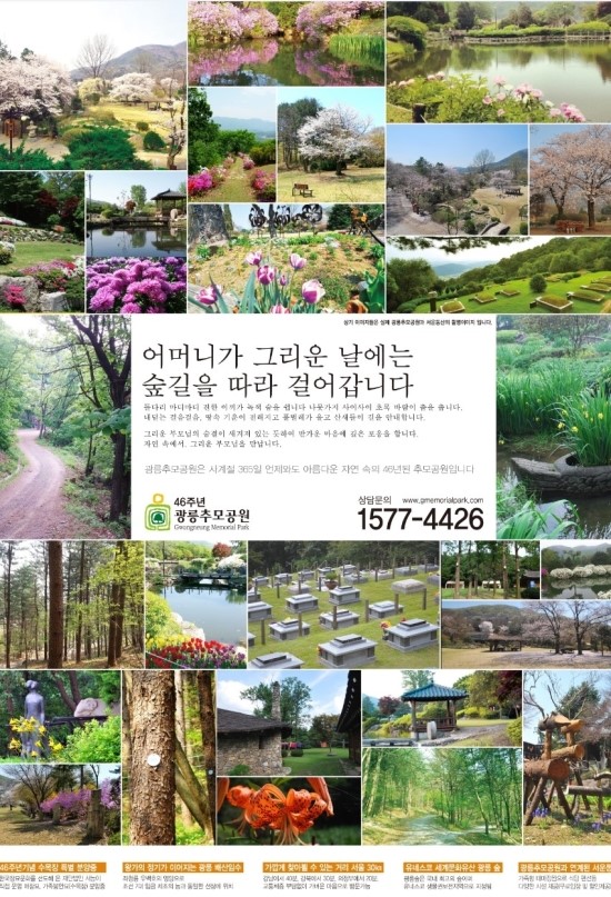 법인우드랜드 이미지