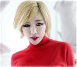 헤어스칼렛 이미지