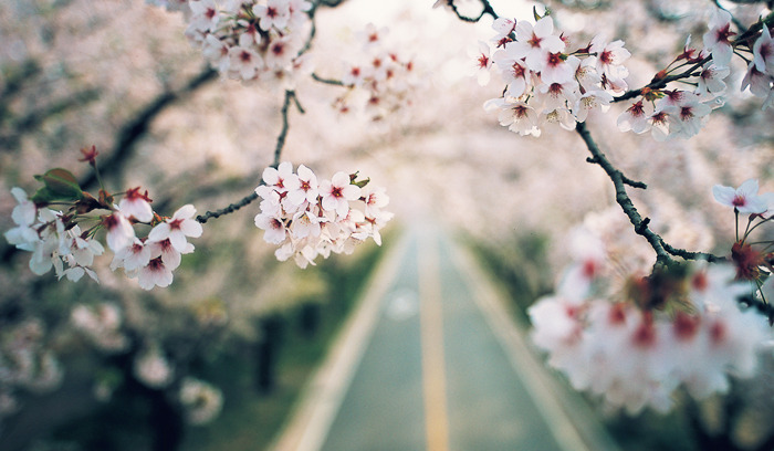 별에별 이미지