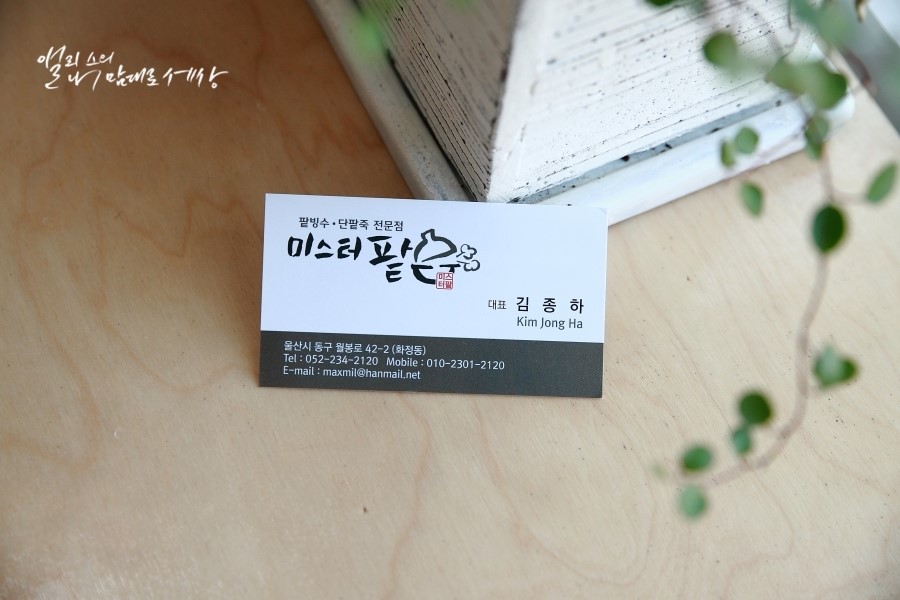 미스터팥 이미지