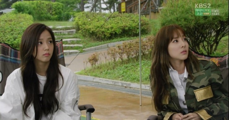 김지 이미지