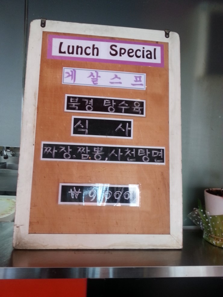 차이넥스 이미지