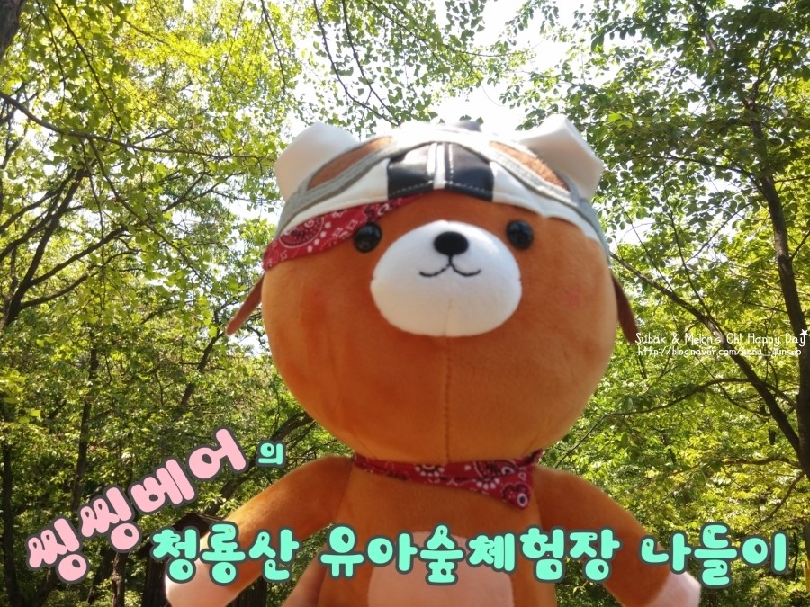 씽씽베어 이미지