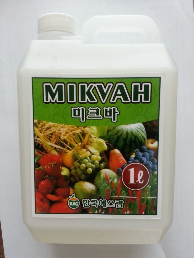 미크바 이미지