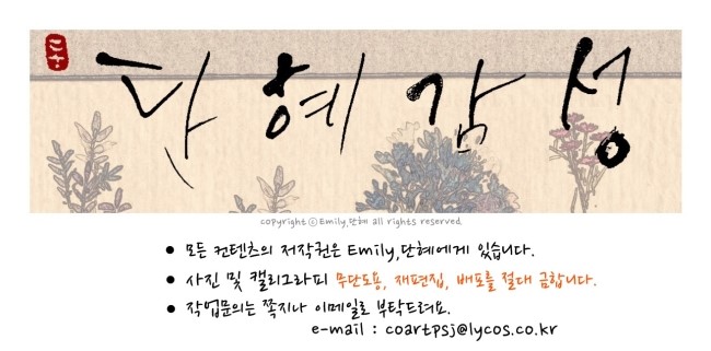 애솔헤어 이미지