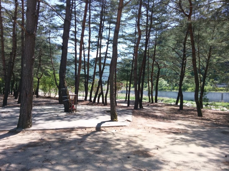 진부관광농원오대산 이미지