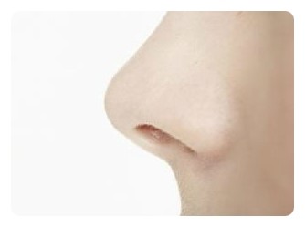 아이비라인 이미지
