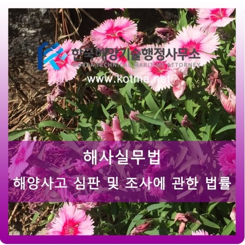 한국법률행정사사무소 이미지