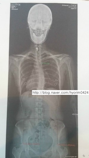 세진정형외과의원 이미지