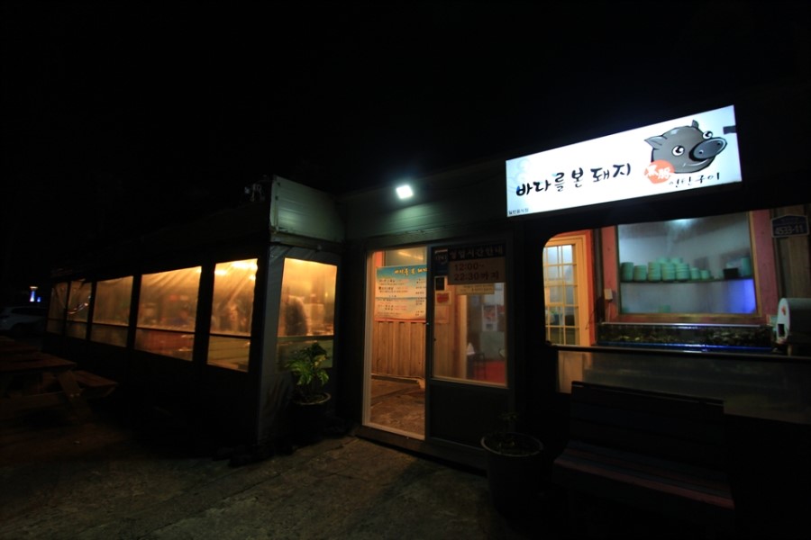 해변의돼지 이미지