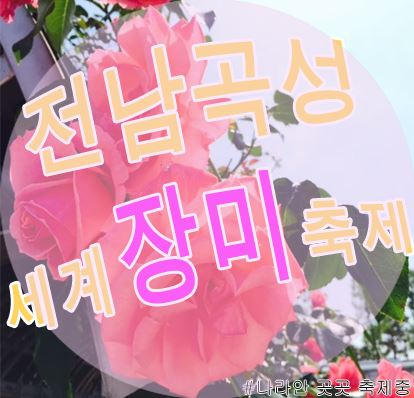 나라안여행 이미지