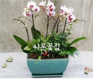 농협하나로마트 광교점 이미지