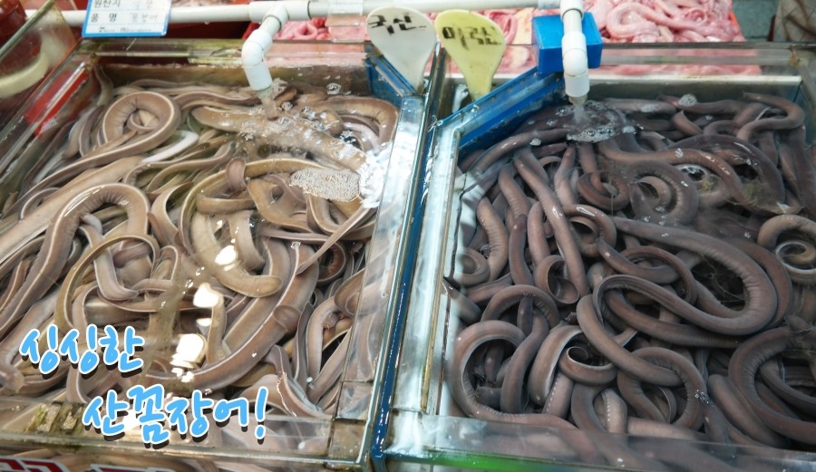 으뜸상회 이미지
