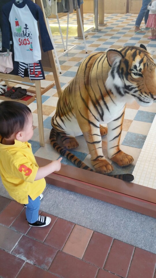 로뎀옷가게 이미지