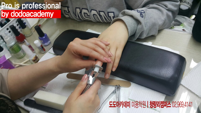 도도네일 이미지