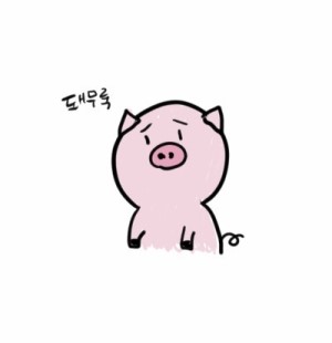 푸드린 이미지