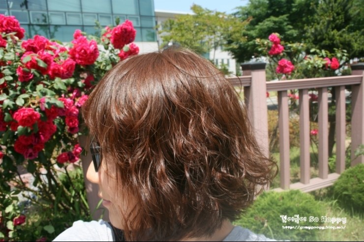 다봄헤어 이미지
