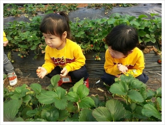 자이앤키즈어린이집 이미지