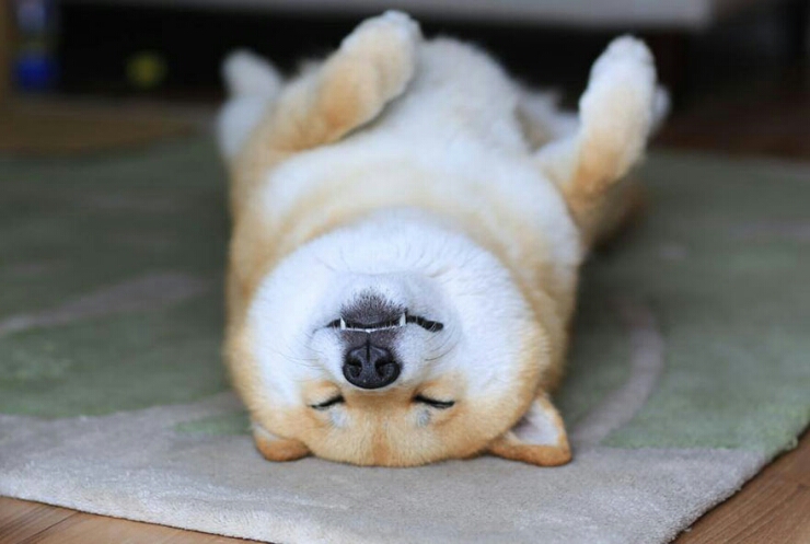 음 이미지