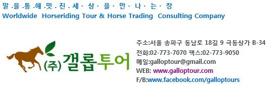 (주)갤롭투어 이미지