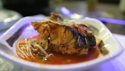 유연참치 이미지