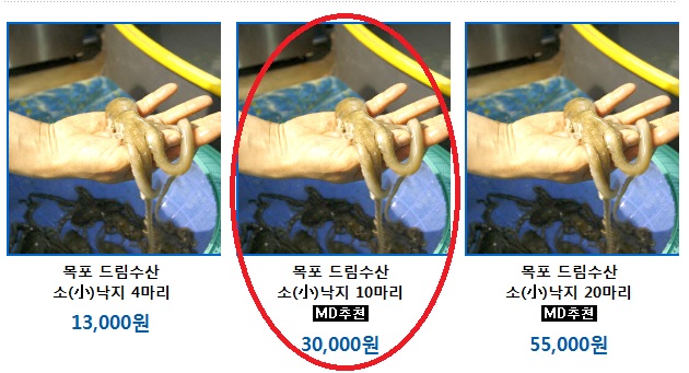 목포수산물드림 이미지