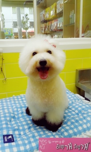 부흥미용실 이미지