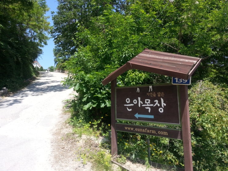 은아유통 이미지
