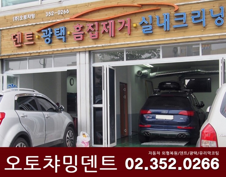 오토덴트칼라 이미지