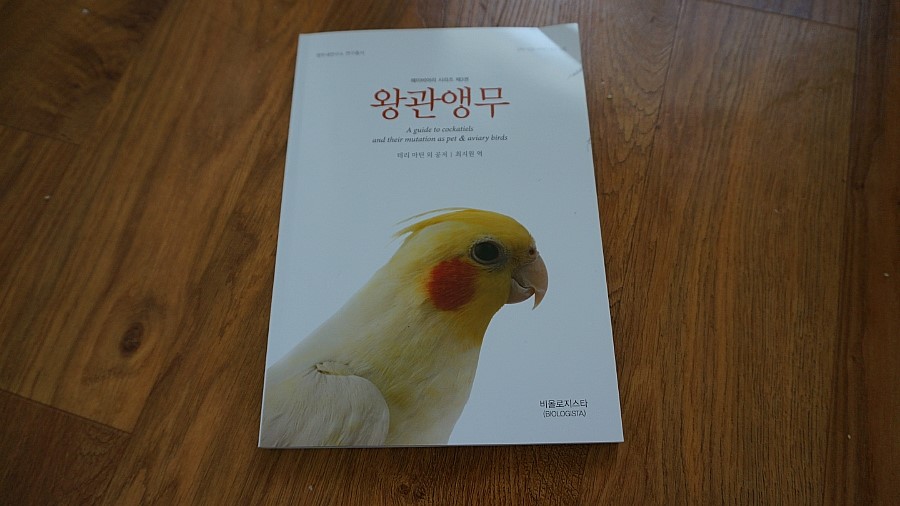 왕관복권 이미지